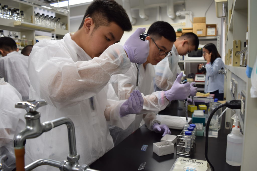 Cell observation practice